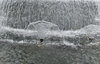 fountain textures3