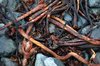 detritus 5