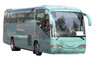 Green bus