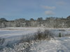 Winter landscape