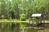 Picnic at Lake