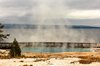 Steamy Spring