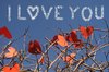 I love you