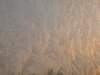 ice sunrise