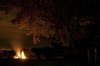 Bonfire Night
