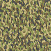 Camouflage 2