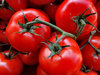 vine ripened tomatoes6