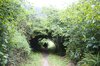 Tunnel Vision