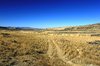 Plains Path