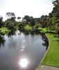 river reflections2