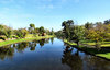 river reflections3