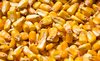 Kernels