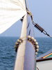 wadden 01