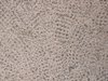 stone pavement texture