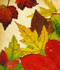 Leaf Collage 11