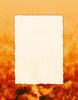 Torn Edge 4