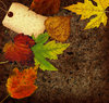 Dirt Collage 2