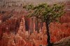Bryce canyon 1