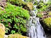 Floral Spring Falls
