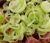 frozen lunch2