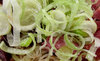 frozen lunch4