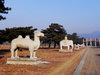 Eastern Qing Tombs