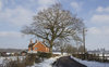 Rural landscape