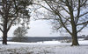 Winter landscape
