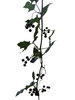 Vine