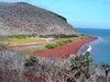 galapagos island