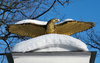 Golden Eagle