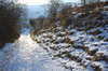 Snowy track