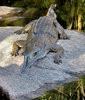 never smile at a crocodile1