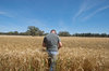 agriculture