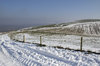 Snowy track