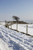 Farm fence in snow