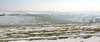 Cold winter landscape