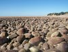 Stony Beach