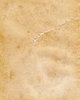 Old, aged paper / parchment 1