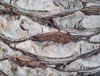Palm Tree Bark