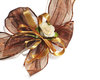 brown bow
