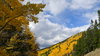 Aspen