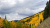 Aspen