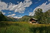 Monte Rosa's landscape
