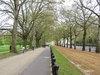 Constitution Hill Road