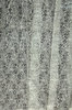 Lace Curtain