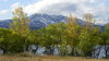 Autumn in the Park