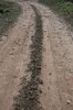 Path