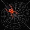 Arachnophobia 3