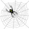 Arachophobia